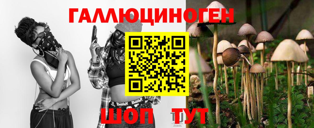 Псилоцибиновые грибы Magic Shrooms Кандалакша